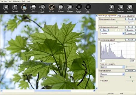 Raw editor