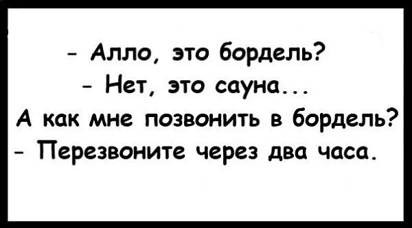 Алло анекдот. Алло прикол. Бордель прикол. Анекдот про стартап.