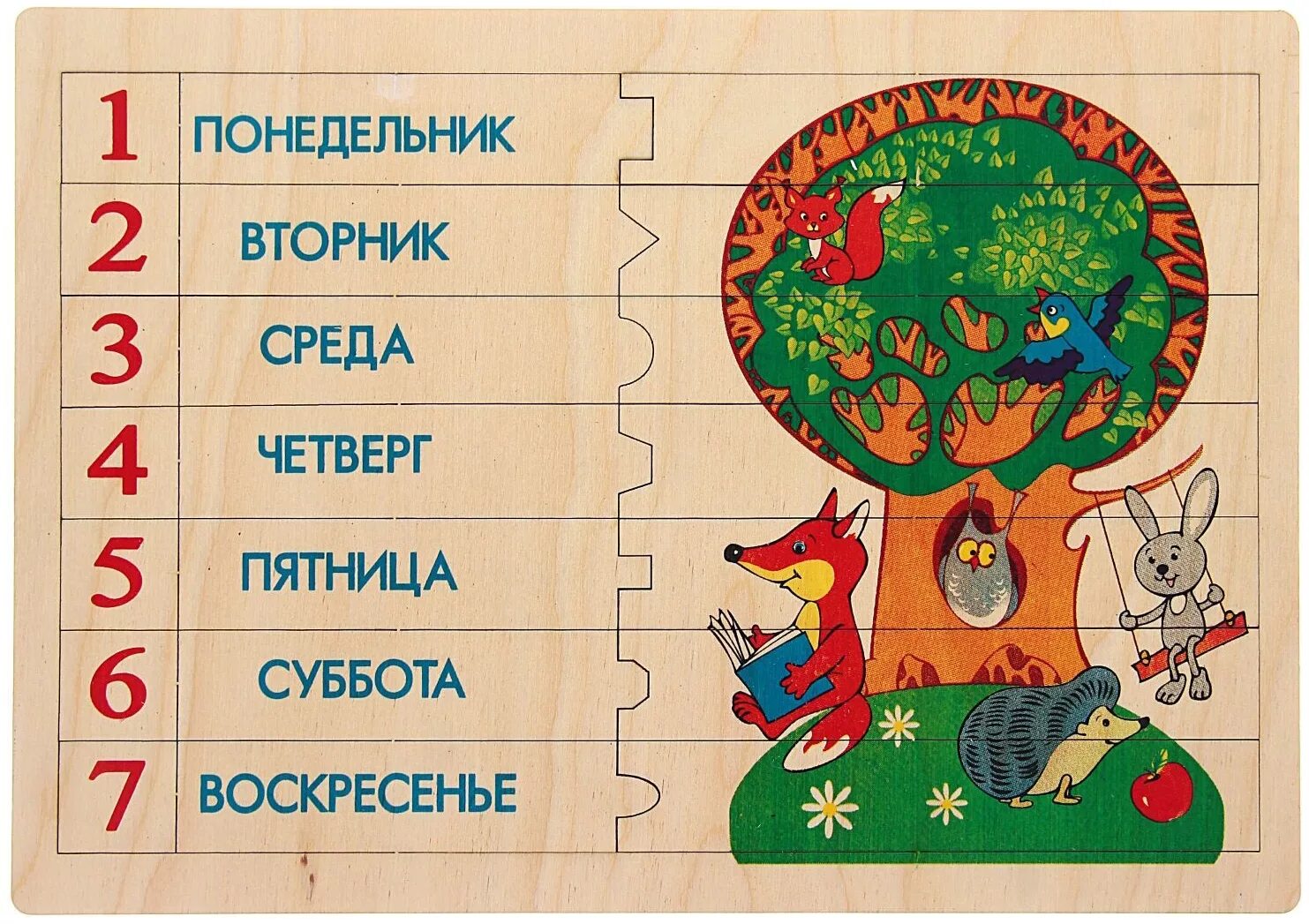 Учим месяцы года и дни недели. Дни недели. Дни недели для детей. Дни недели для дошкольников. Карточки с изображением дней недели.