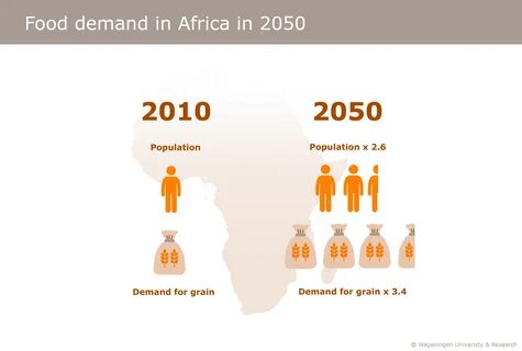 2050 2010