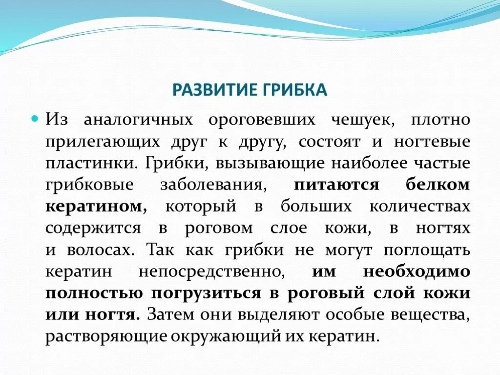 Ничего я тогда не понимал надо было судить не по словам а по делам. Как называется болезнь которая поражает здоровые клетки. Общаться с ребенком карм. Болезни болгарского перца. Грибковые заболевания доклад.