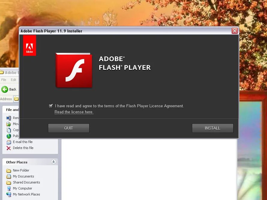 Adobe Flash. Адобе флеш плеер. Adobe Flash Player проигрыватель. Установщик Adobe Flash Player. 7 adobe player