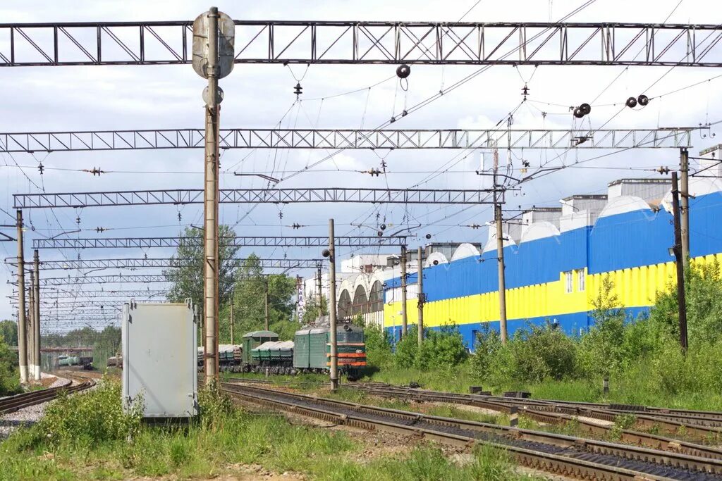 вероника, посёлок парголово. дом морозовых в парголово. кросс парголово спб. жд станция парголово. ветка на парголово.