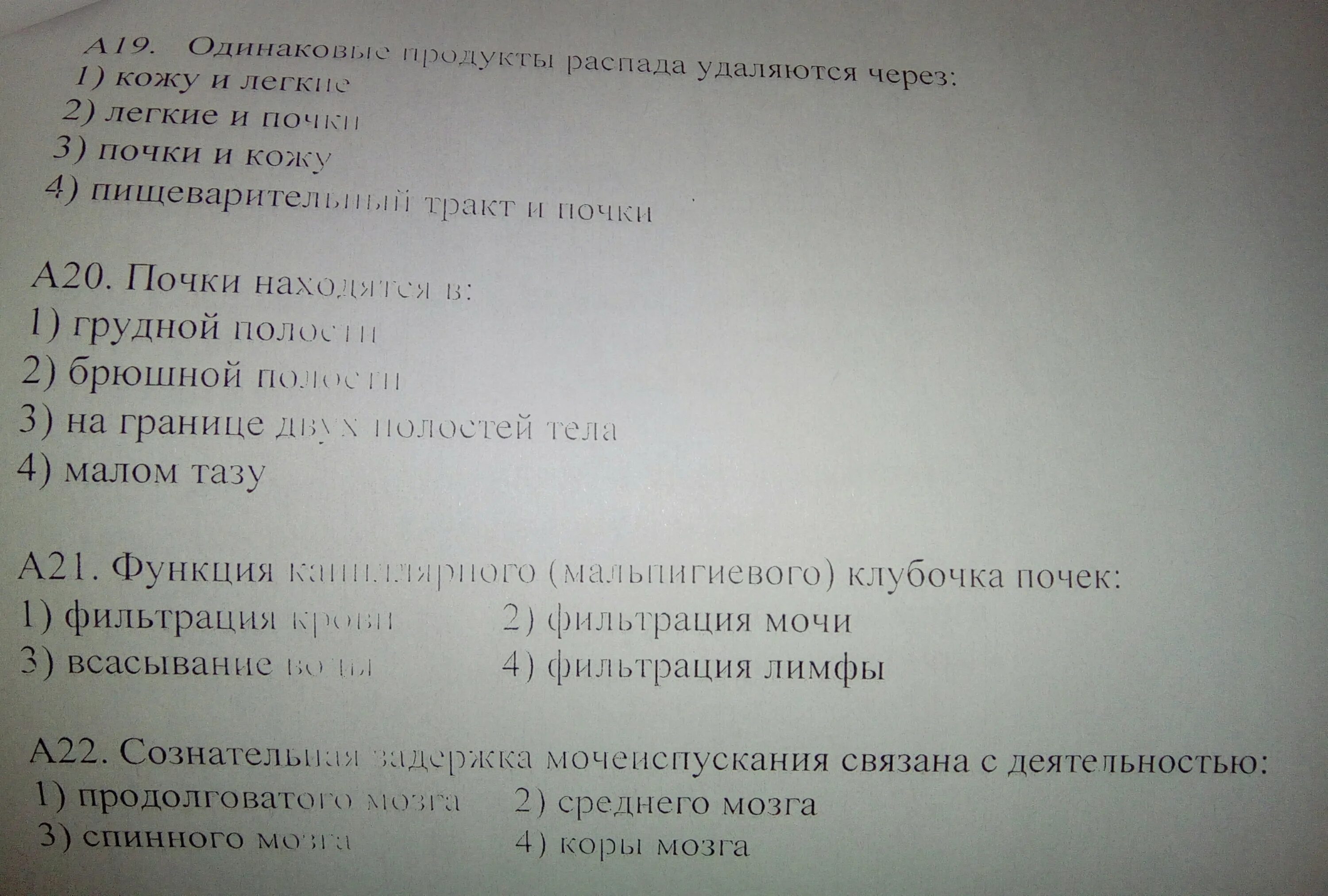 Тест по биологии тема выделение. Тест по теме выделение. Тест по биологии выделение. Одинаковые продукты распада удаляются. Одинаковые продукты распада удаляются через кожу и легкие.