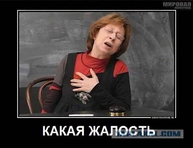 Какая жалость. Какая жалость