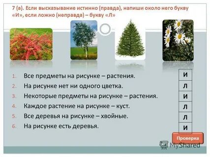 Определи истинные высказывания