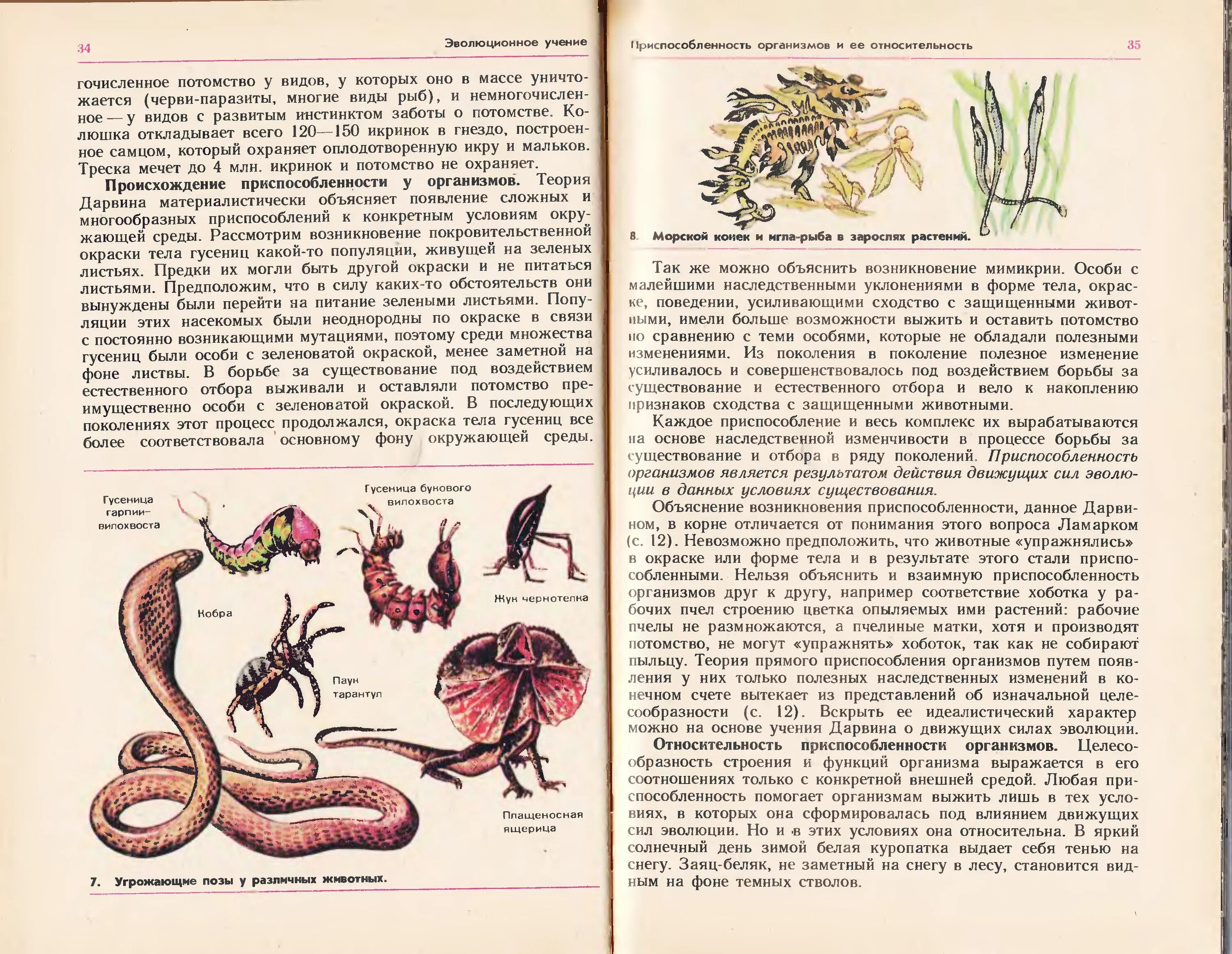 Краткое содержание биологии 9 класса. Старые учебники по биологии. Советская книга по биологии. Биология 10 класс Полянский. Книги биология виды.