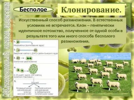 Клонирование голоса
