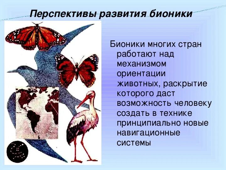 Примеры бионики в биологии. Бионика. презентация на тему бионика. перспективы бионики. бионика для дошкольников.