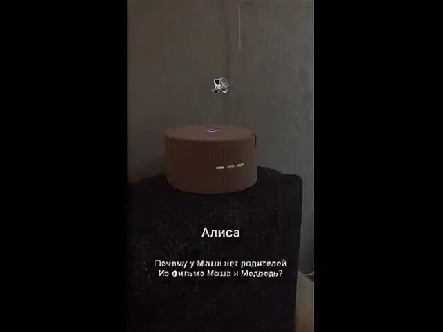 Где родители маши и медведя. Маша и медведь где родители маши. Где родители маши и медведя. Алиса почему у маши нет родителей. Алиса почему у маши нет родителей.