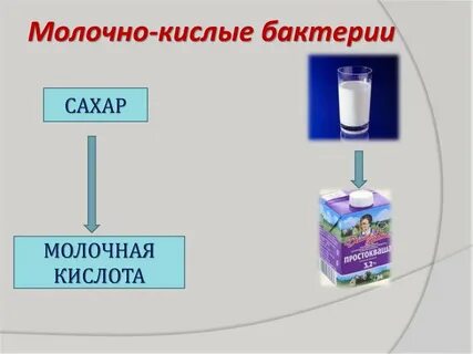 Кислота бактерии