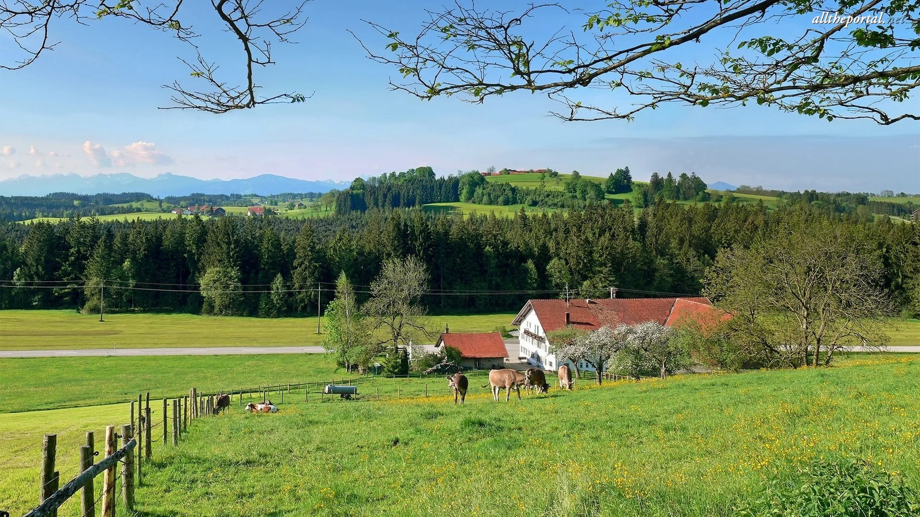 Countryside walks. Природа деревня. Сельская местность. Природа сельской местности. Лето в деревне.