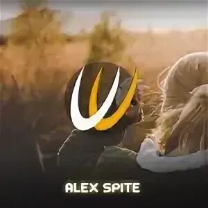 Gray night alex spite