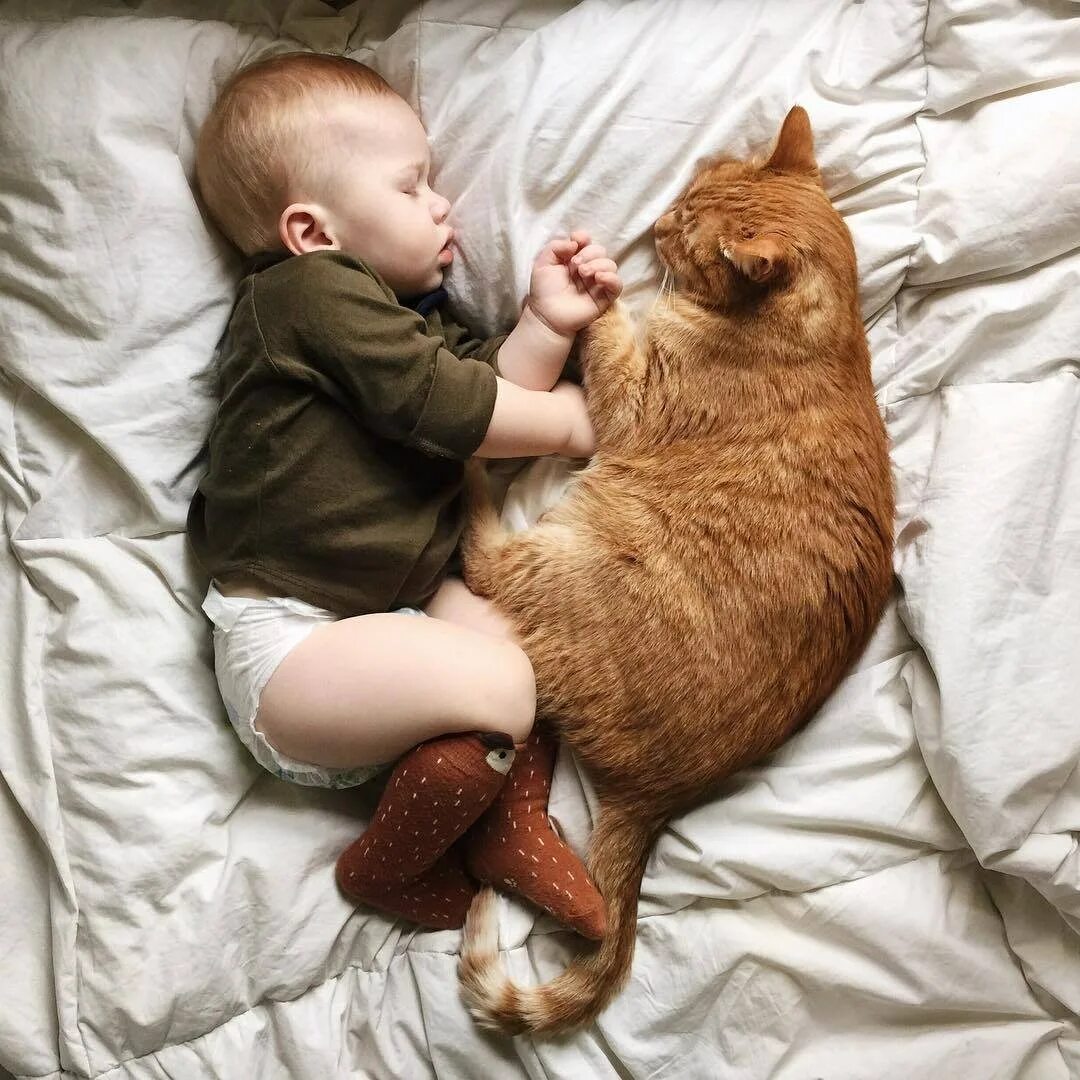 Кот не любит детей. Дети и коты. Кошка для детей. Кот и младенец. Рыжий кот для детей.