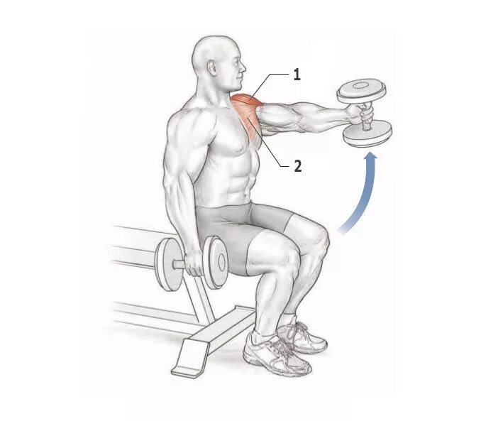 Подъем гантелей на дельты. Занятия для дельтовидной мышцы плеча. Подъем гантелей перед собой стоя. Упражнения на переднюю дельту. Тяга хейни на задние дельты.