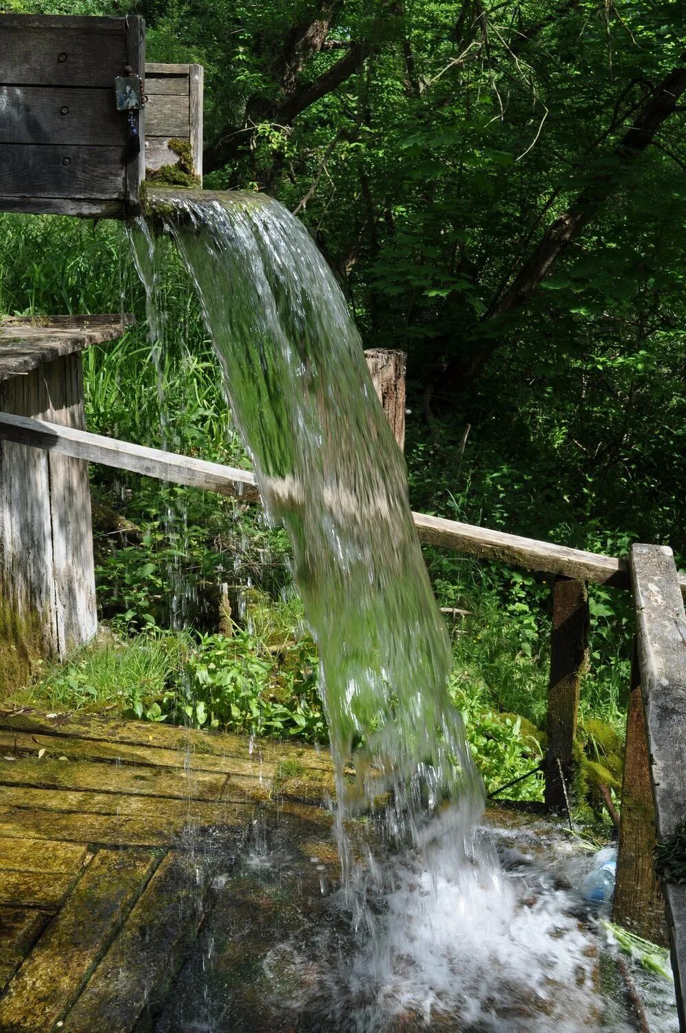 Родниковая вода вода родника. Родник ааштопф Германия. Родник Удмуртии. Природа Удмуртии Родники. Вода живой Родник.