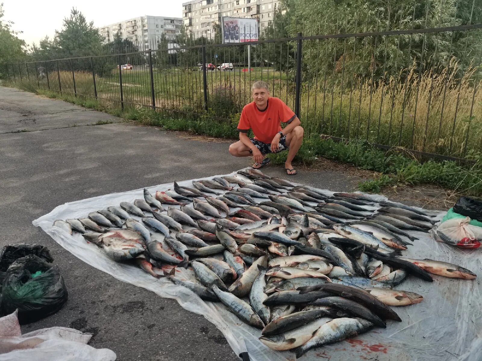 Рыбарь сегодня. Рыбалка не удалась. Великий Новгород рыбаки. Рыбарь. Рыбарь фото.