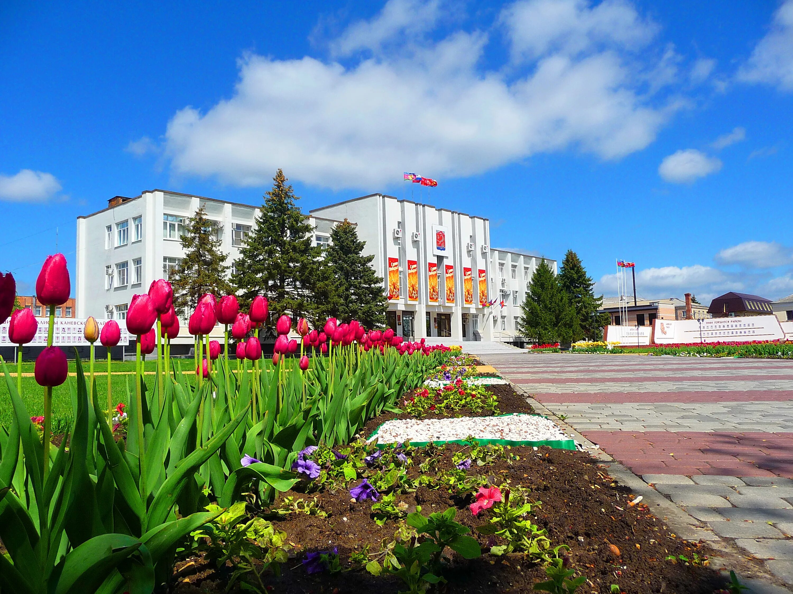 Край станицы. Станица Каневская Краснодарский край. Краснодарский край Каневской район станица Каневская. Кубань ст Каневская. Станица Каневская центр.