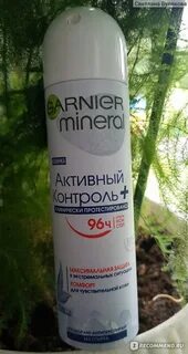 96 ч