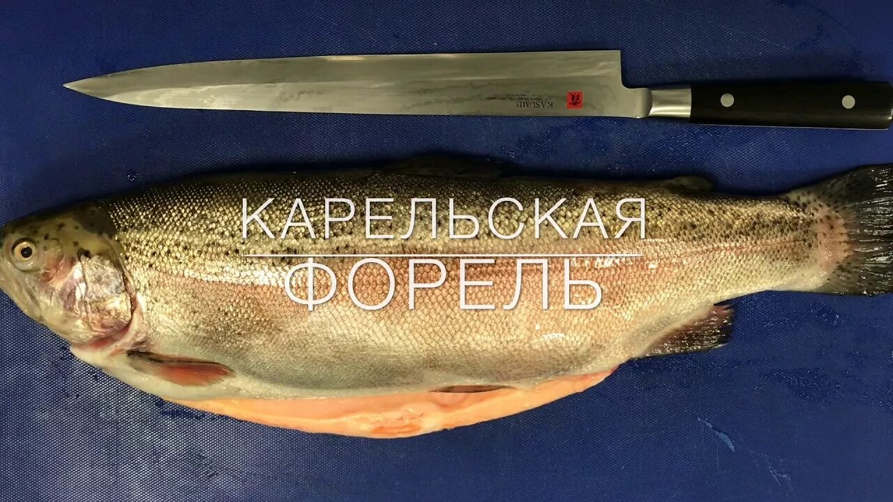 Как почистить свежую форель. Карельская форель. разделка форели. форель карельская разделанная. радужная форель разделанная.