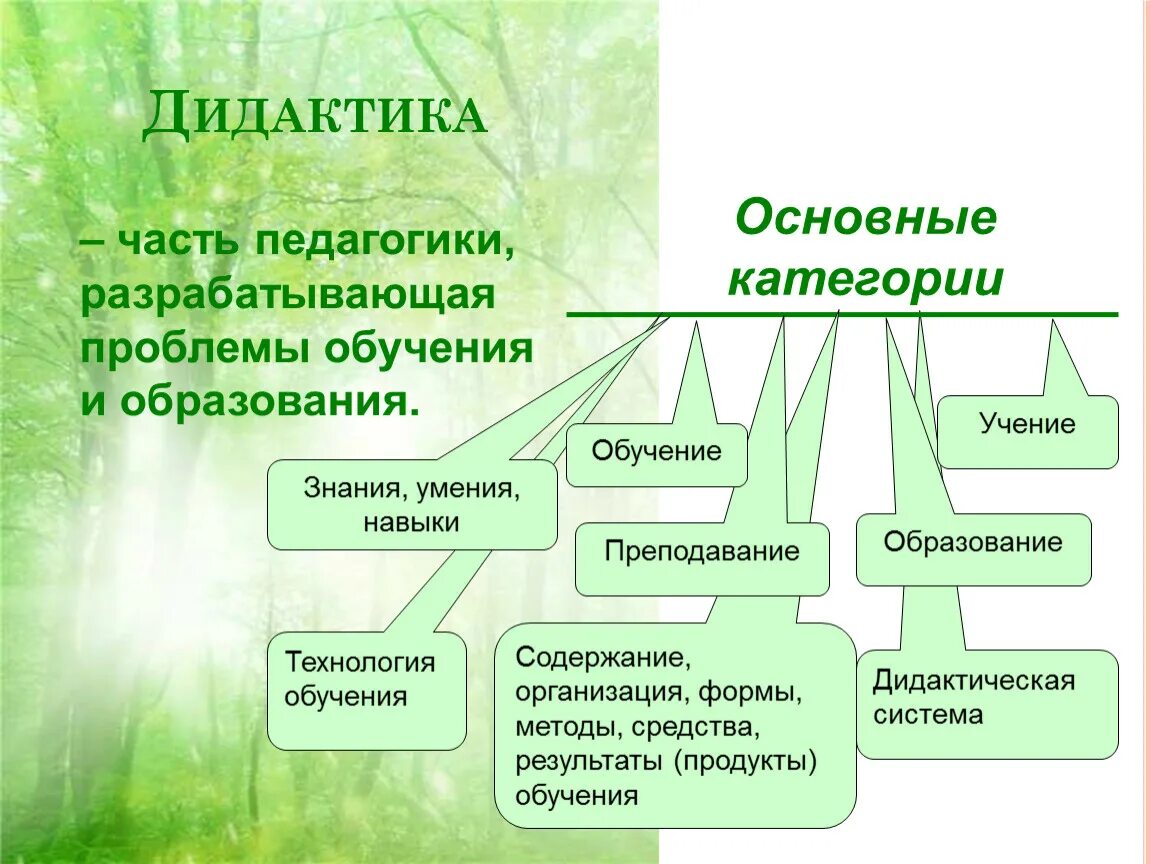 Организация дидактических. Дидактика это в педагогике. Основы дидактики. Дидактические понятия в педагогике. Структура дидактики.