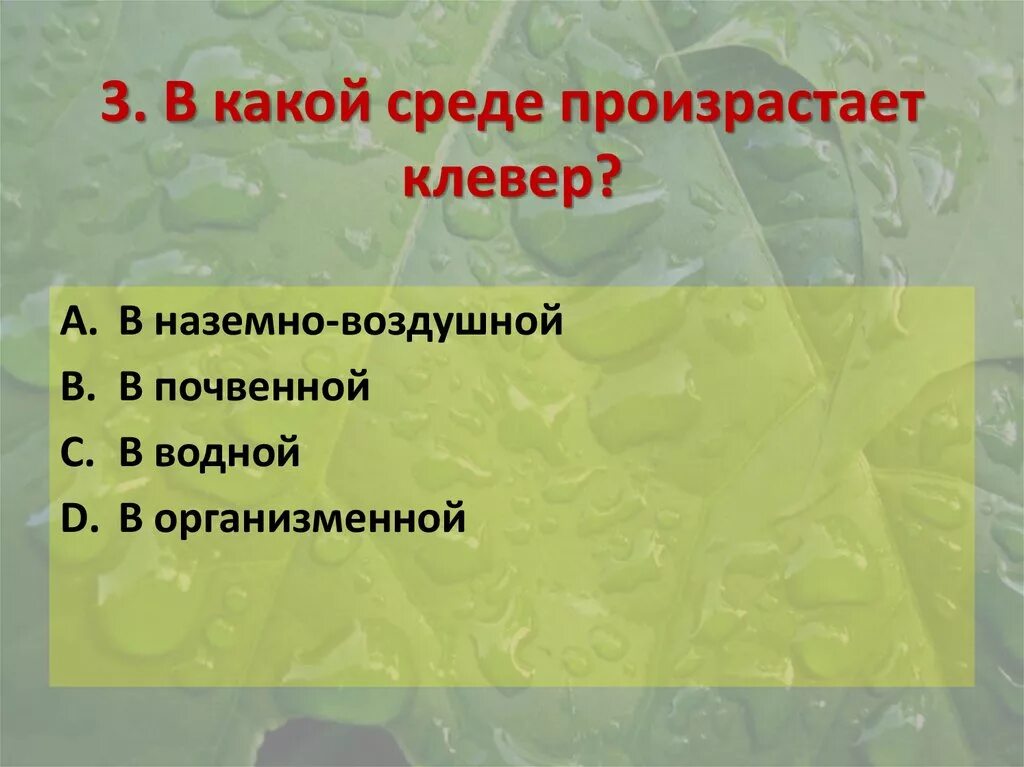 В какой среде находится. Среда обитания клевера наземно воздушной. В какой среде произрастает Клевер. Какая среда. Таблица водная воздушная почвенная орга.