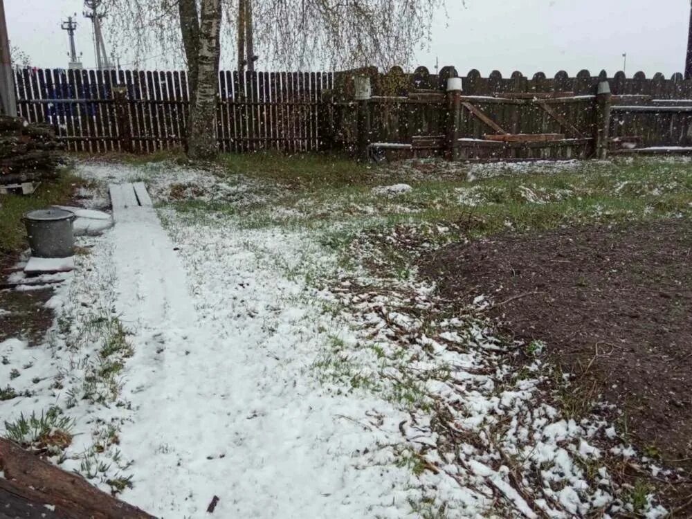 В Перми выпал снег 2022. Первый снег растаял. Пермь засыпало снегом. Выпал первый снег. Выпал снег 2022