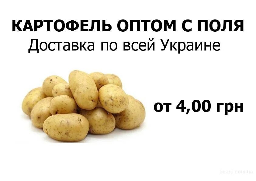 Купить картошку с доставкой. Объявление о продаже картофеля. Реклама картофеля. Объявление о продаже картошки. Объявление о продаже картофеля образец.