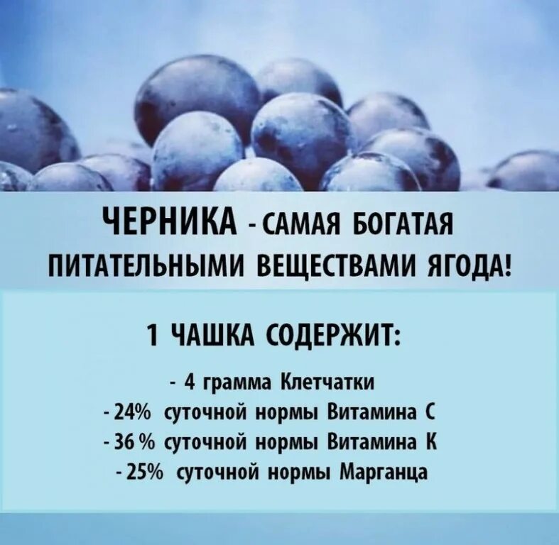 Сколько сахара в голубике 100 грамм. В голубике полезные витамины. Черника витамины. Черника польза. Чем полезна черника.