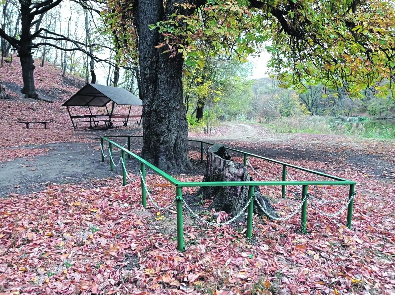Карта днр село новомихайловка. Еленовка невинномысск. Еленовка ставропольский край. Парк-усадьба с еленовка. Парк еленовка где находится ставропольский.