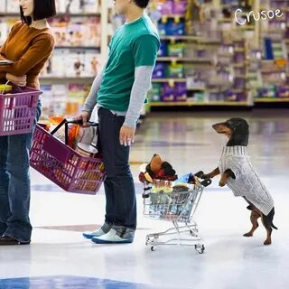 Then he go shopping