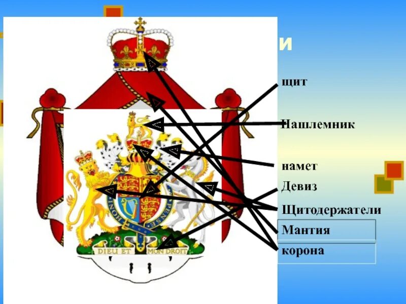 Щитодержатели