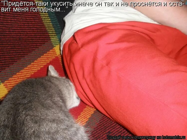 Прикольные высказывания. Французская пословица всю первую половину жизни мы ждем вторую. Очень страшит мысль что когда нибудь придется. Придется таки. Меня страшит мысль что когда-то я перестану заниматься херней.