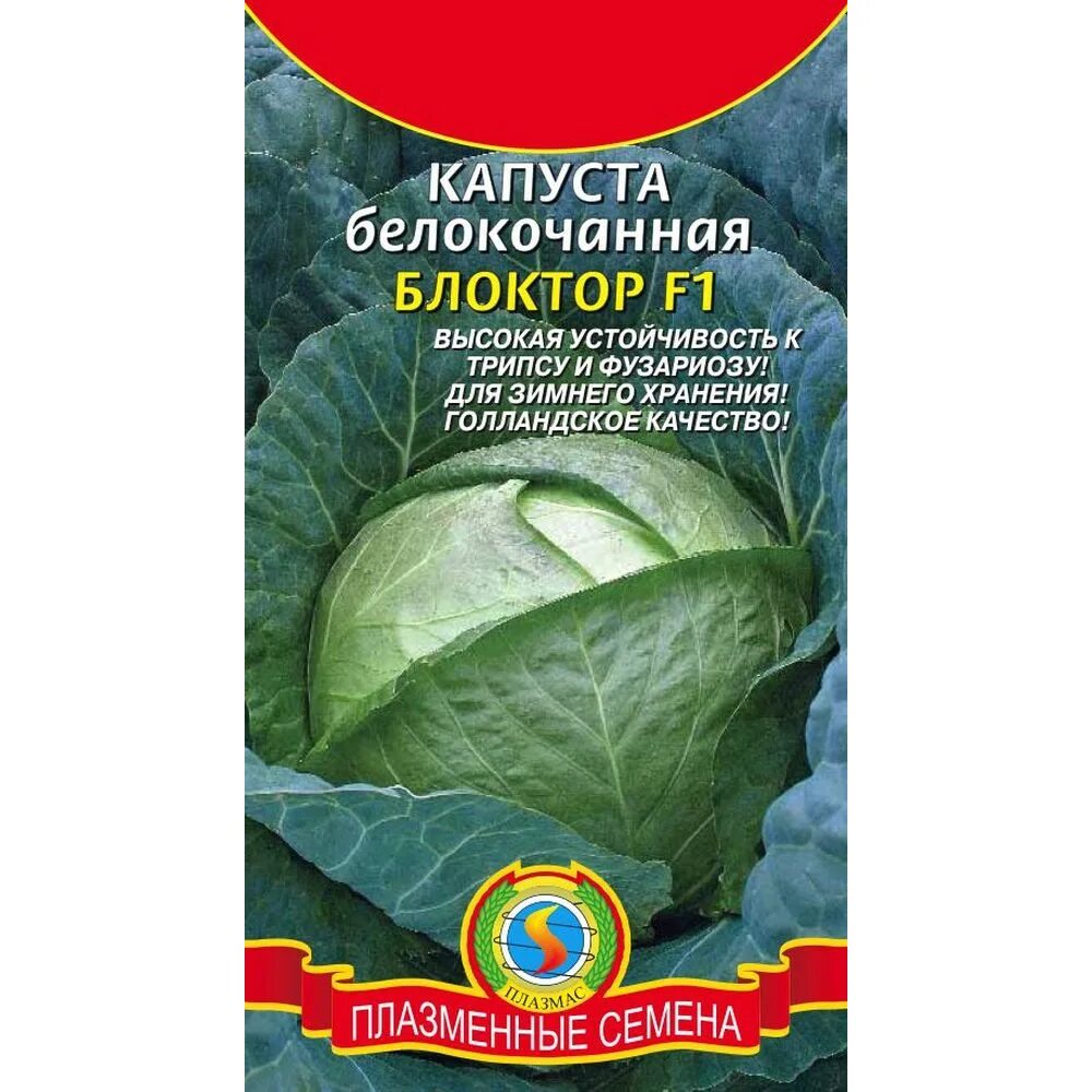 Семена капуста б/к Харрикейн f1, 10 шт, плазменные семена. Семена капуста б/к Харрикейн плазменные семена. Капуста экспресс б/к (Агроника). Капуста Блоктор f1 фото. Коля капуста описание