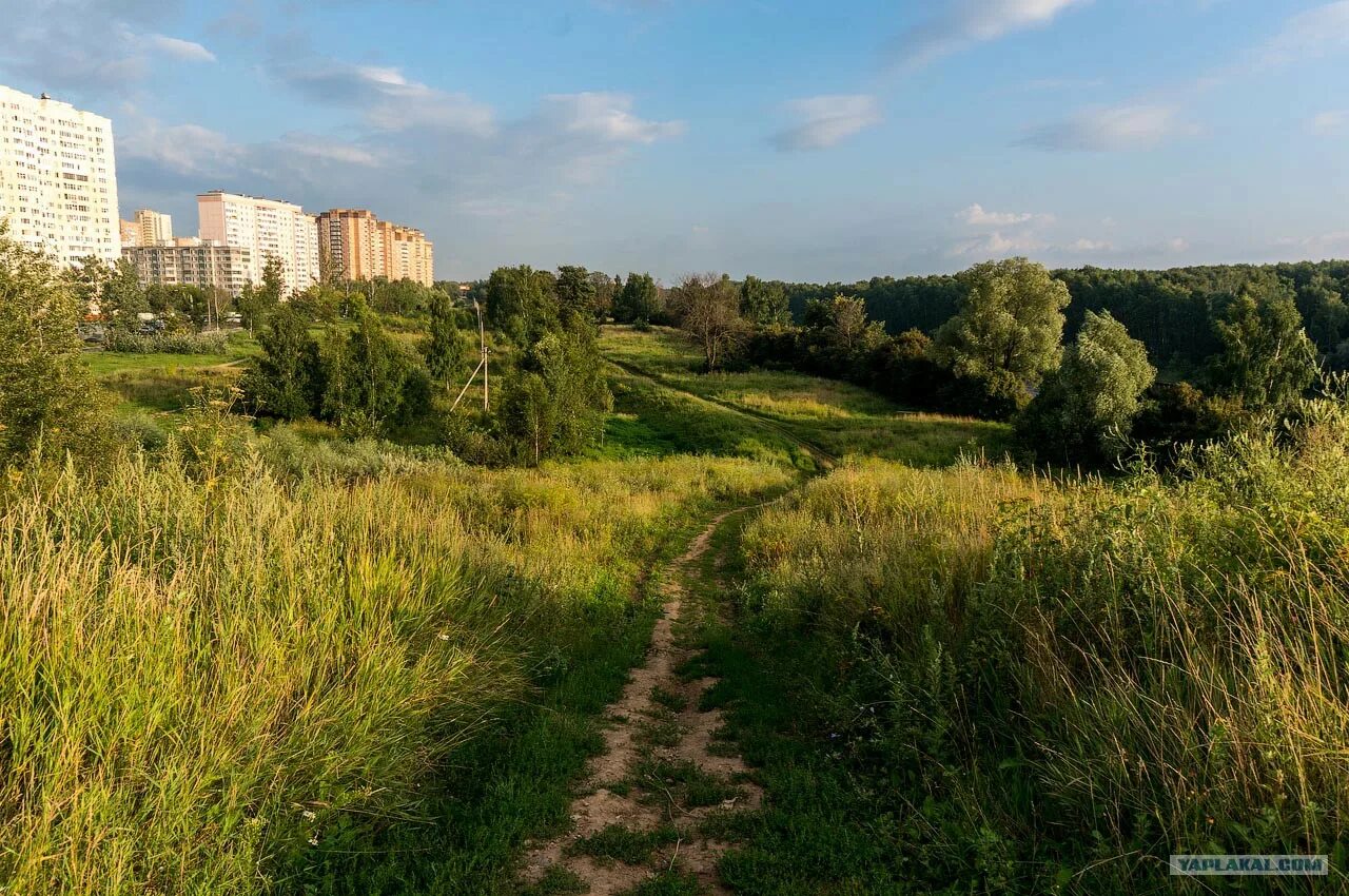 Парк река Долгопрудный. Долгопрудный. Город Долгопрудный Московской области. Холм Долгопрудный.