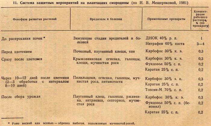 Обработка смородины от вредителей после сбора урожая. Вредители смородины обработка. обработка смородины весной от болезней и вредителей. весенняя обработка смородины и крыжовника от вредителей и болезней.