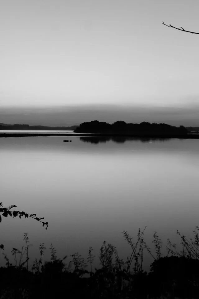 Черном и белом озерах. Озеро черно белое. Природа в черно белом варианте. Река черно белая. Черно белый пейзаж.