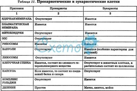 Строение клеток эукариот таблица