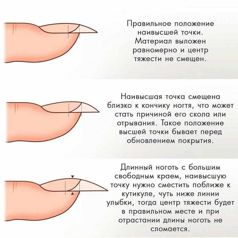 Правильная форма члена. Схема выравнивания ногтевой пластины гелем. Схема выравнивания ногтевой пластины базой. Правильная архитектура ногтя при наращивании.