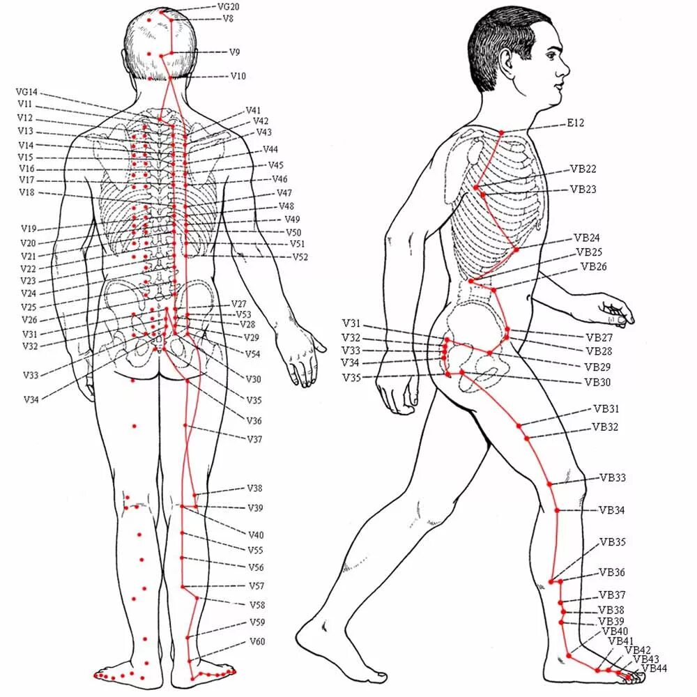 Названия точек человека. Акупунктура тела человека схема болевые точки. Точки акупунктуры в китайской медицине. Биологически активные точки акупунктуры. Меридианы и точки акупунктуры.