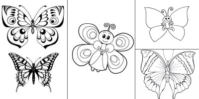 бабочка раскраска