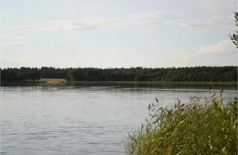 Озерки вологодская область