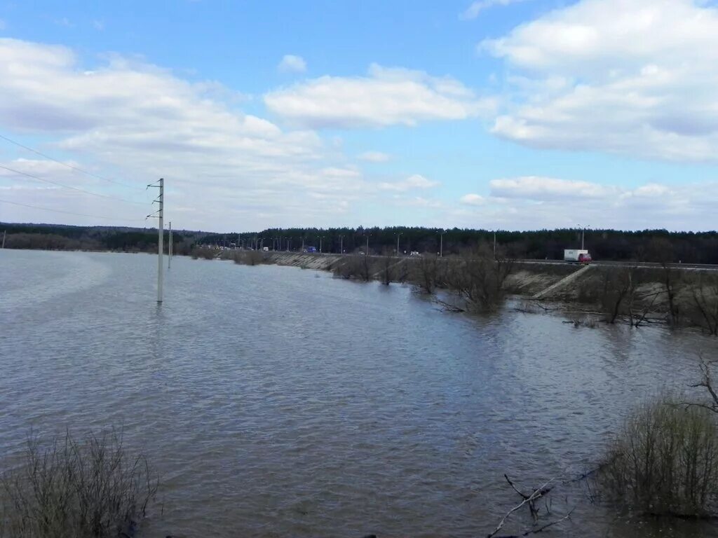 Какой уровень реки оки. Уровень воды в реке оке. дно реки оки. уровень воды в реке ока. река ока под водой.