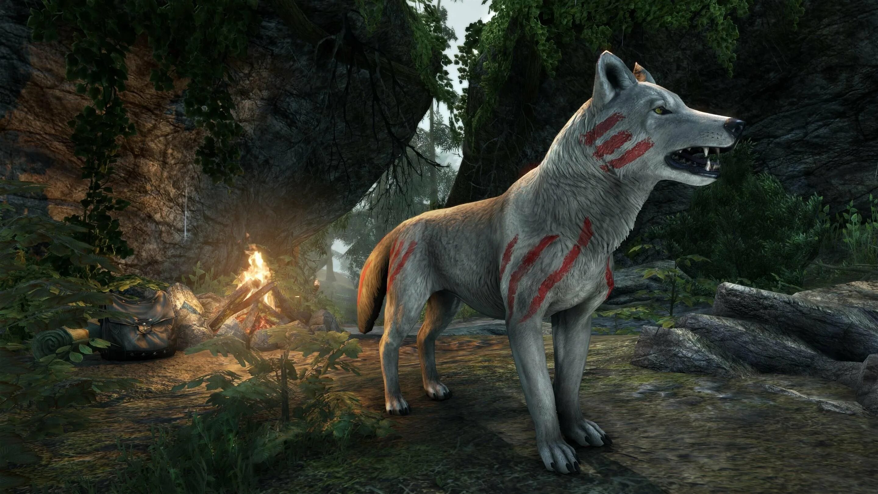 Найти игры волк. Karthwolf charger mount. вулф тейлс. волк из игры.