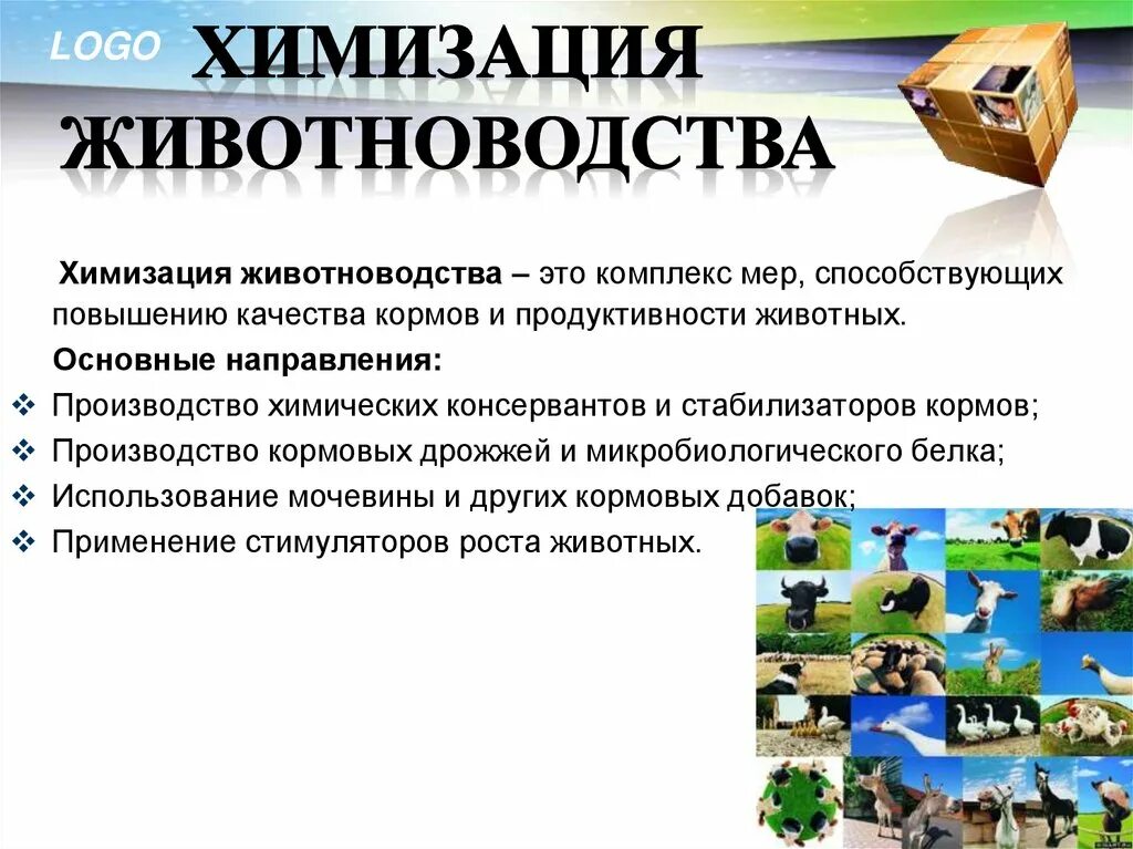 Что такое химизация повышение образовательного. Химизация производства примеры. химизация животноводства направления. химизация животноводства презентация. производство химических консервантов и стабилизаторов кормов.