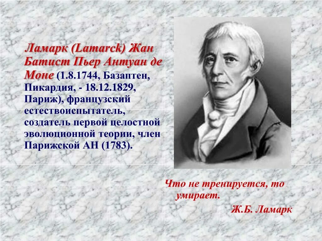 Работы ж б ламарка. Ж.Б. Ламарк (1744-1829).