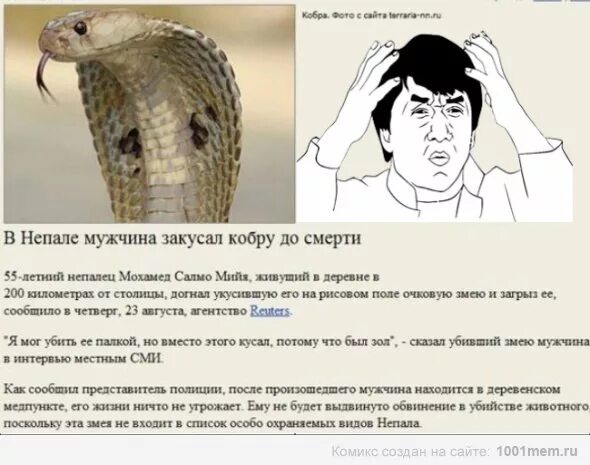 Кобра видит