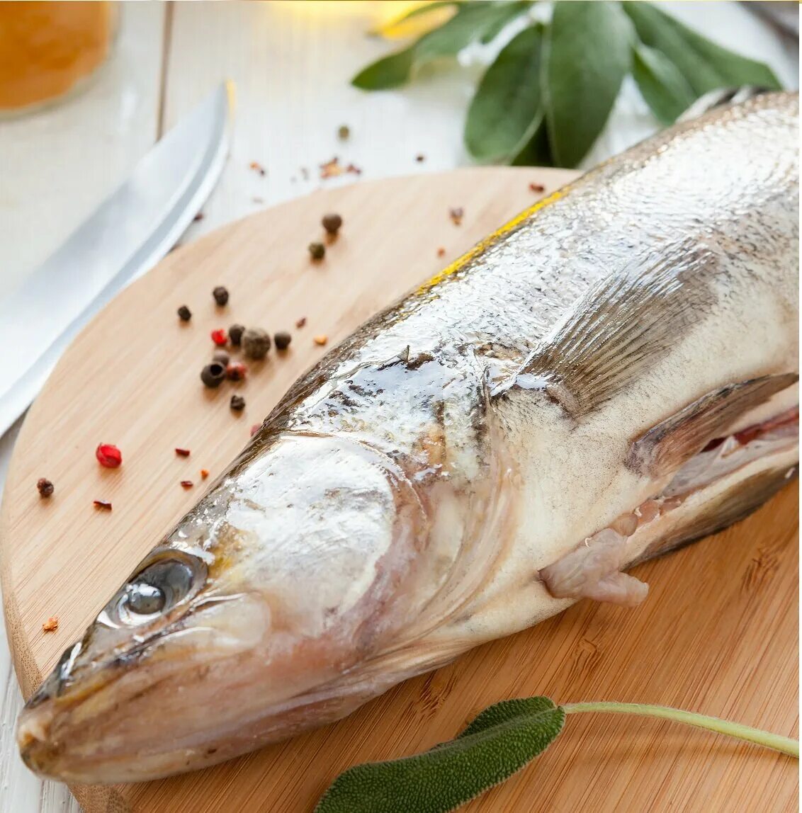 Судак какое мясо. Судак мясо. судак очищенный. судак охлажденный. судак свежий.