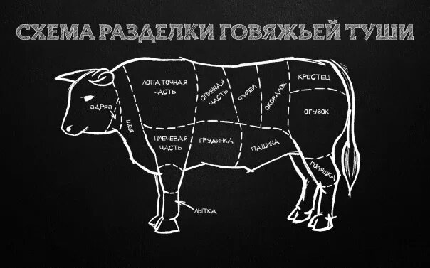 Схема быка
