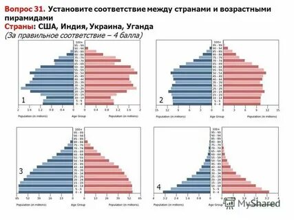 Полово возрастной